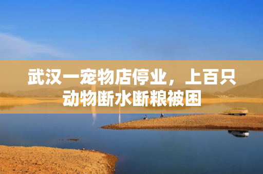 武汉一宠物店停业，上百只动物断水断粮被困