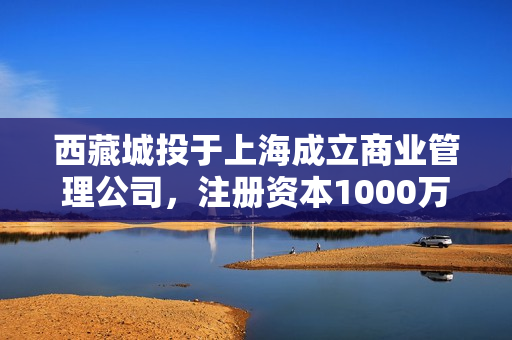西藏城投于上海成立商业管理公司，注册资本1000万元