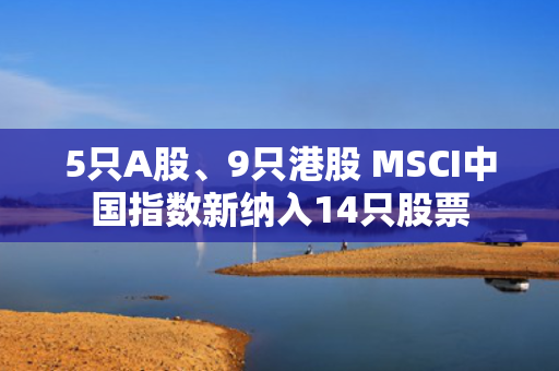 5只A股、9只港股 MSCI中国指数新纳入14只股票