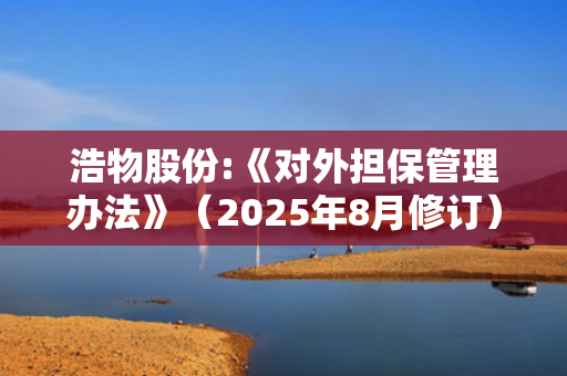 浩物股份:《对外担保管理办法》（2025年8月修订）