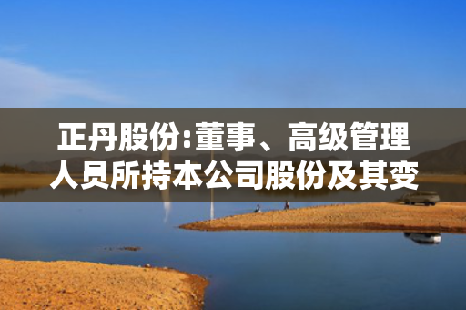 正丹股份:董事、高级管理人员所持本公司股份及其变动管理制度