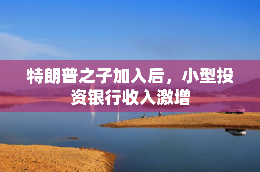 特朗普之子加入后，小型投资银行收入激增