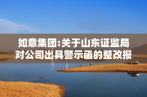 如意集团:关于山东证监局对公司出具警示函的整改报告