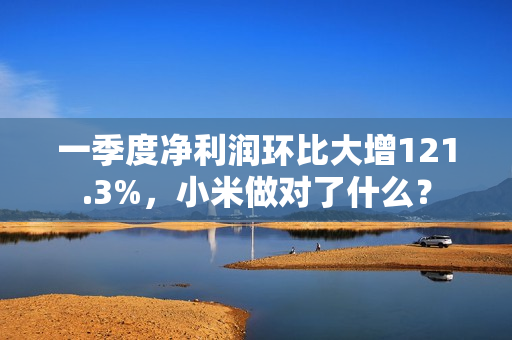 一季度净利润环比大增121.3%，小米做对了什么？