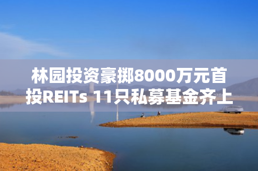 林园投资豪掷8000万元首投REITs 11只私募基金齐上阵 公募REITs迎多元资本入局