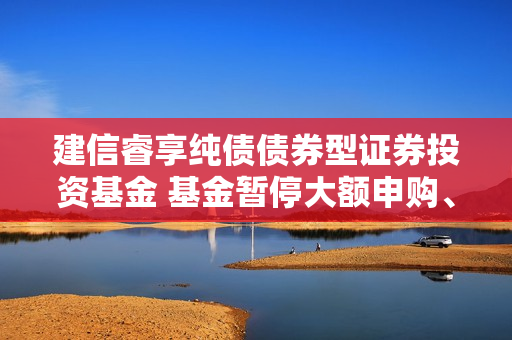 建信睿享纯债债券型证券投资基金 基金暂停大额申购、大额转换转入、 定期定额投资公告