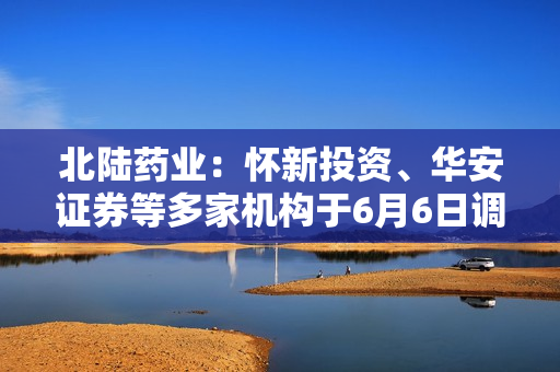 北陆药业：怀新投资、华安证券等多家机构于6月6日调研我司 第1张