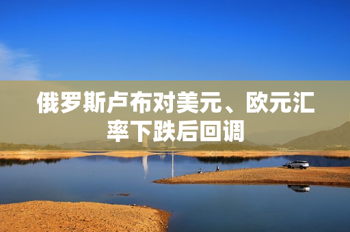 俄罗斯卢布对美元、欧元汇率下跌后回调