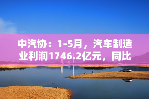 中汽协：1-5月，汽车制造业利润1746.2亿元，同比增加24.3% 第1张