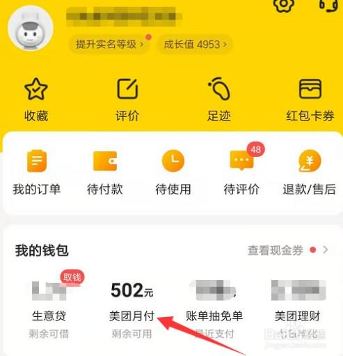 大神教你玩转美团月付，轻松实现套现赚大钱！