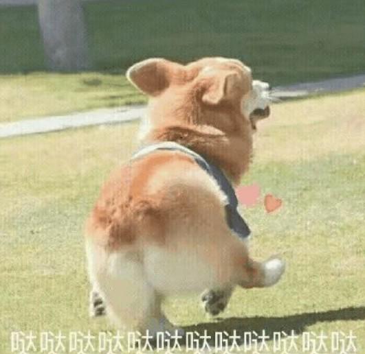 策略追踪| TRIX指标金叉，天岳先进趋势买点已现？