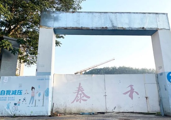 股价仅剩4毛3，昔日千亿房企泰禾集团，被深交所终止上市！ 第3张
