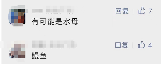 多名游客下海被不明生物咬伤！广西一地凌晨回应 第5张
