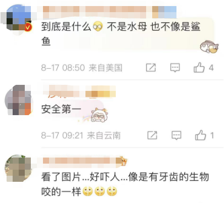 多名游客下海被不明生物咬伤！广西一地凌晨回应 第7张