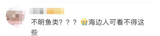 多名游客下海被不明生物咬伤！广西一地凌晨回应 第8张