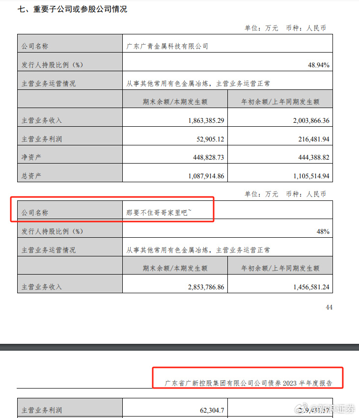 广东广新控股旗下子公司名称为“那要不住哥哥家里吧”