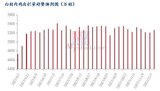 10月白羽肉鸡价格连跌触底，后续毛鸡能否顺势反弹？ 第3张