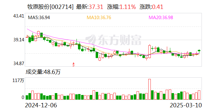 牧原股份：截至2024年三季度末，公司货币资金余额为193.25亿元