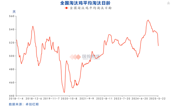 【鸡蛋专题】本轮鸡蛋价格周期的底部如何评估？ 第9张